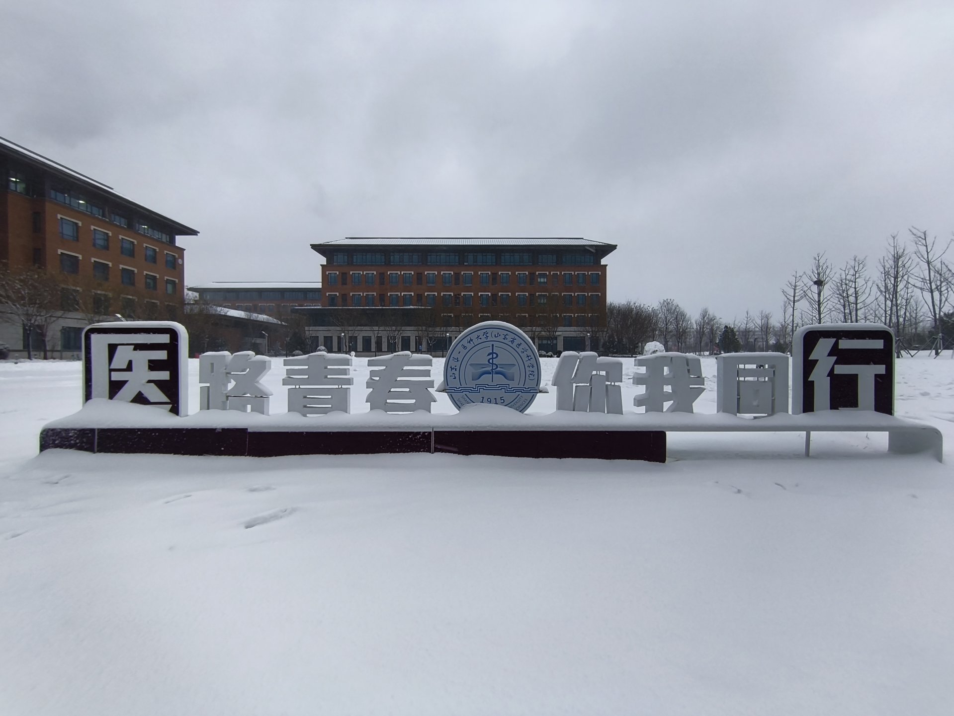 医学人才培...