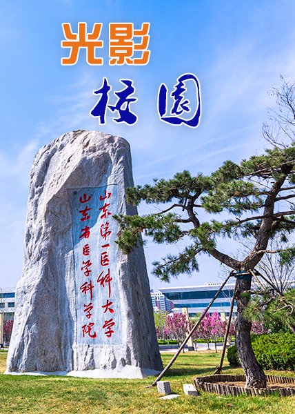 济南市槐荫区青岛路6699号行政楼2